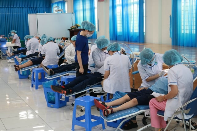 Mô hình trường - trạm tại TP.HCM giúp giảm rõ rệt sâu răng cho trẻ - Ảnh 1.