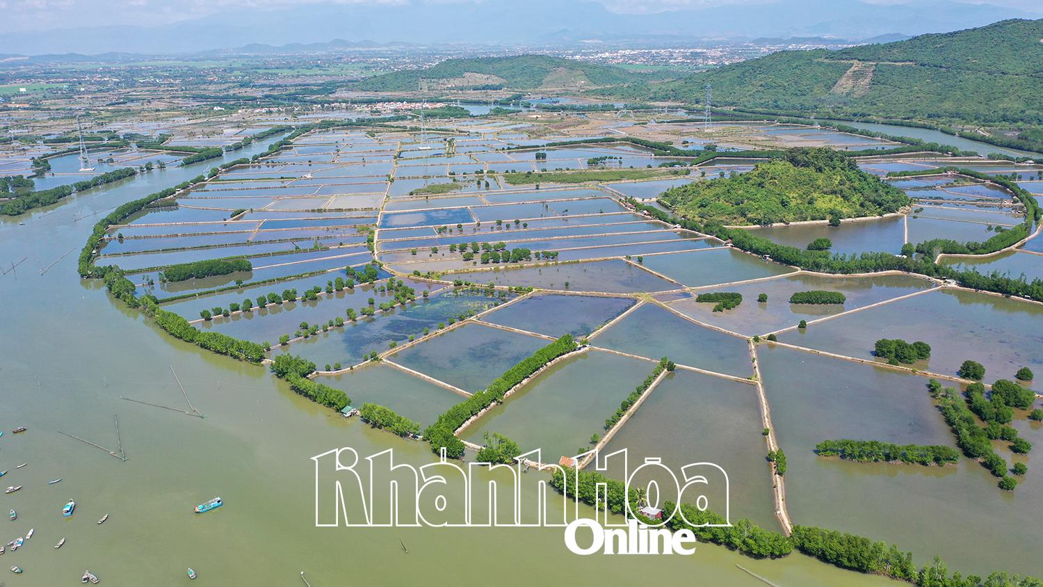 Khu vực rừng ngập mặn ven đầm Nha Phu.

