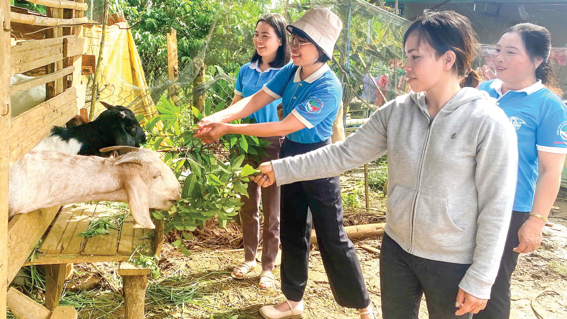 Hội LHPN huyện với các Mô hình Dân vận khéo giúp chị em hội viên phát triển kinh tế