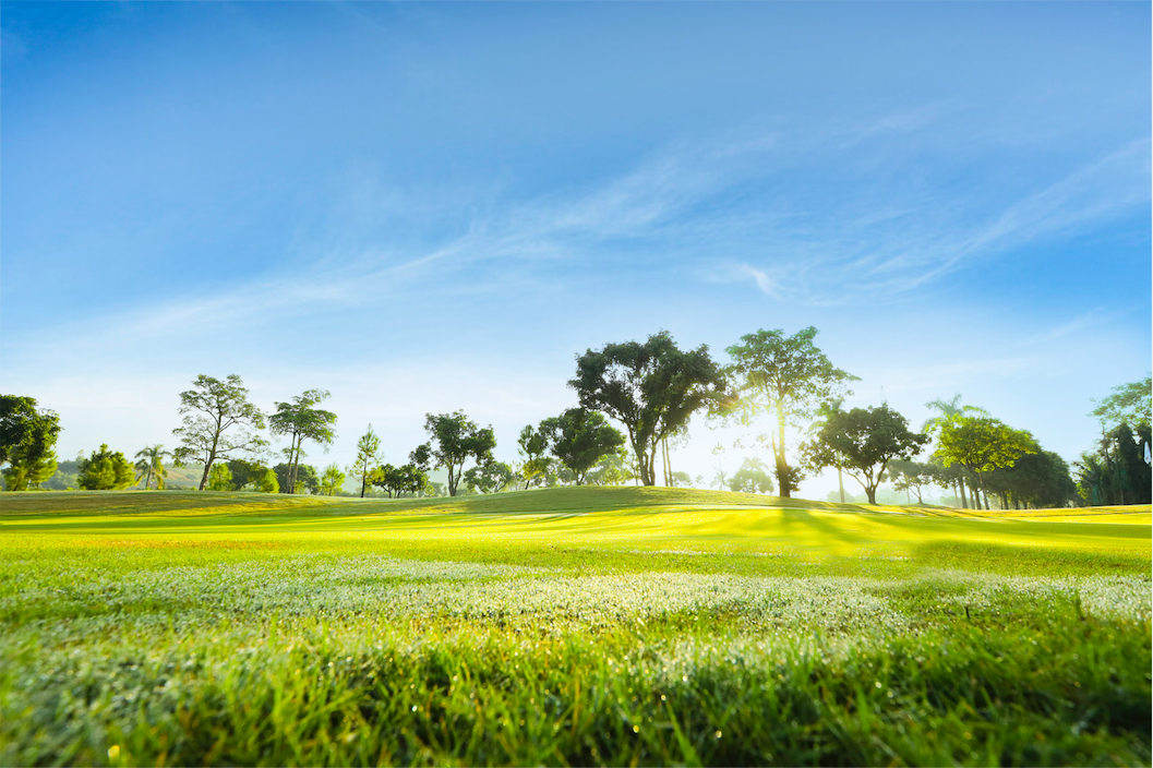 Du lịch golf Việt Nam: Động lực mới cho nền kinh tế cao cấp ảnh 3