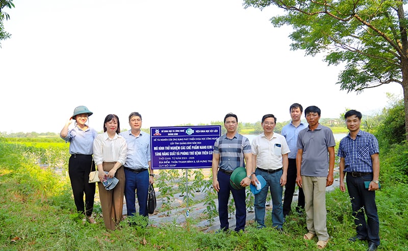 Đại diện các đơn vị liên quan tham quan mô hình canh tác các loại cây trồng sử dụng dung dịch nano Ag phòng trừ bệnh (tại huyện Bố Trạch).