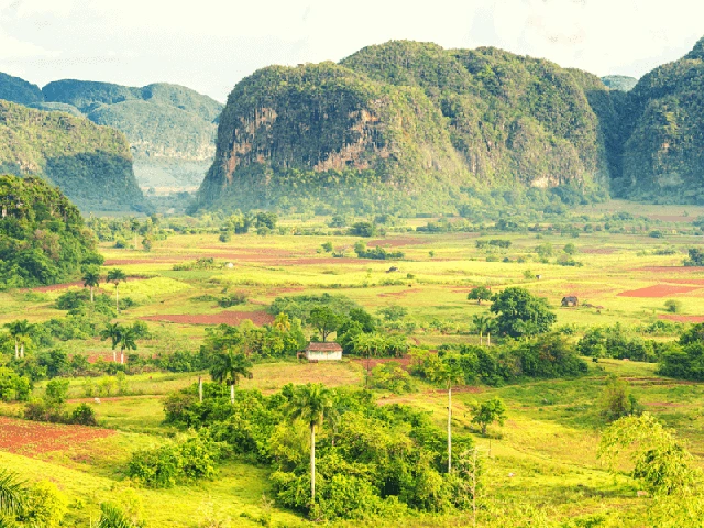 thung-lung-vinales.webp