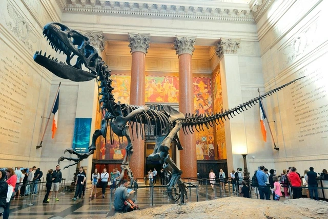 national-museum-of-natural-history-us-journey-through-time.webp