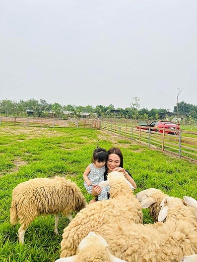 Cùng con vui đùa với các chú cừu. (Ảnh: Happy Farm)
