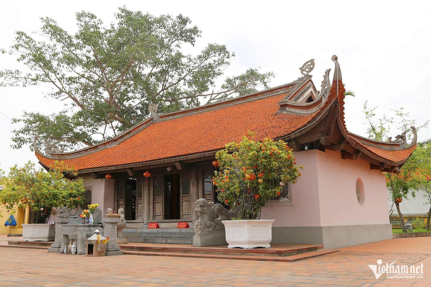 W-Ảnh 6.JPG.jpg