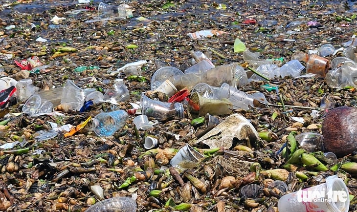 biển Vũng Tàu - Ảnh 8.