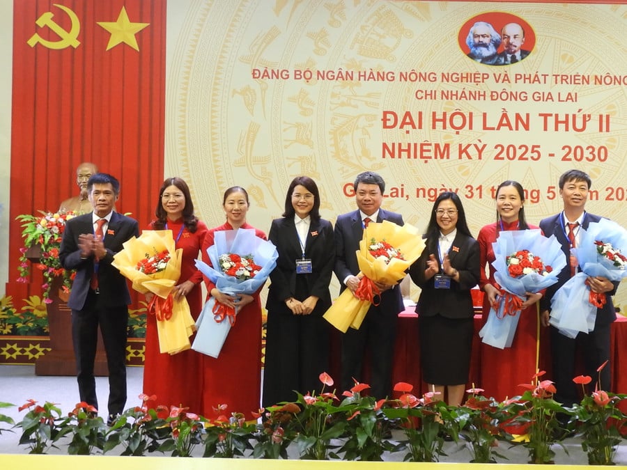 ban-chap-hanh-dang-bo-agribank-chi-nhanh-dong-gia-lai-khoa-ii-ra-mat-va-nhan-nhiem-vu-tai-dai-hoi-anh-thanh-nhat-dscn4605.jpg