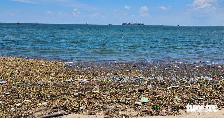 biển Vũng Tàu - Ảnh 3.