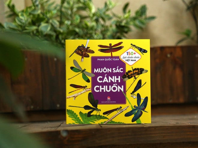 muon-sac-canh-chuon.jpg