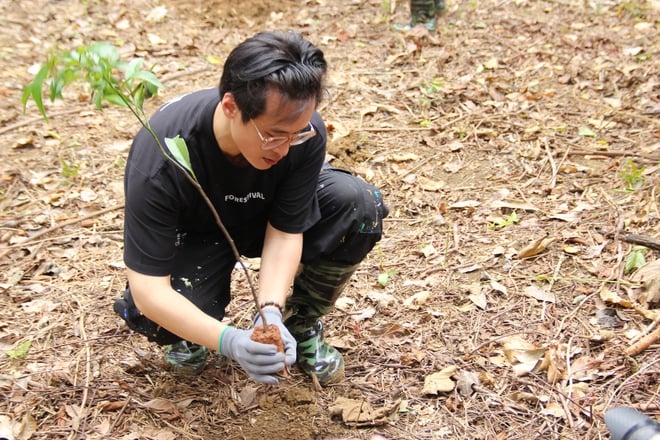 'Forestival 2025': Du lịch bền vững, bảo tồn thiên nhiên, tôn vinh di sản - Ảnh 3.