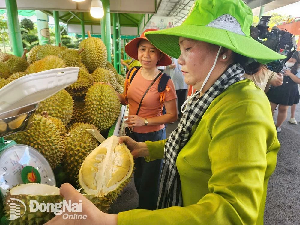 Gian hàng sầu riêng thu hút khá đông du khách đến tham quan. Ảnh: Hải Hà