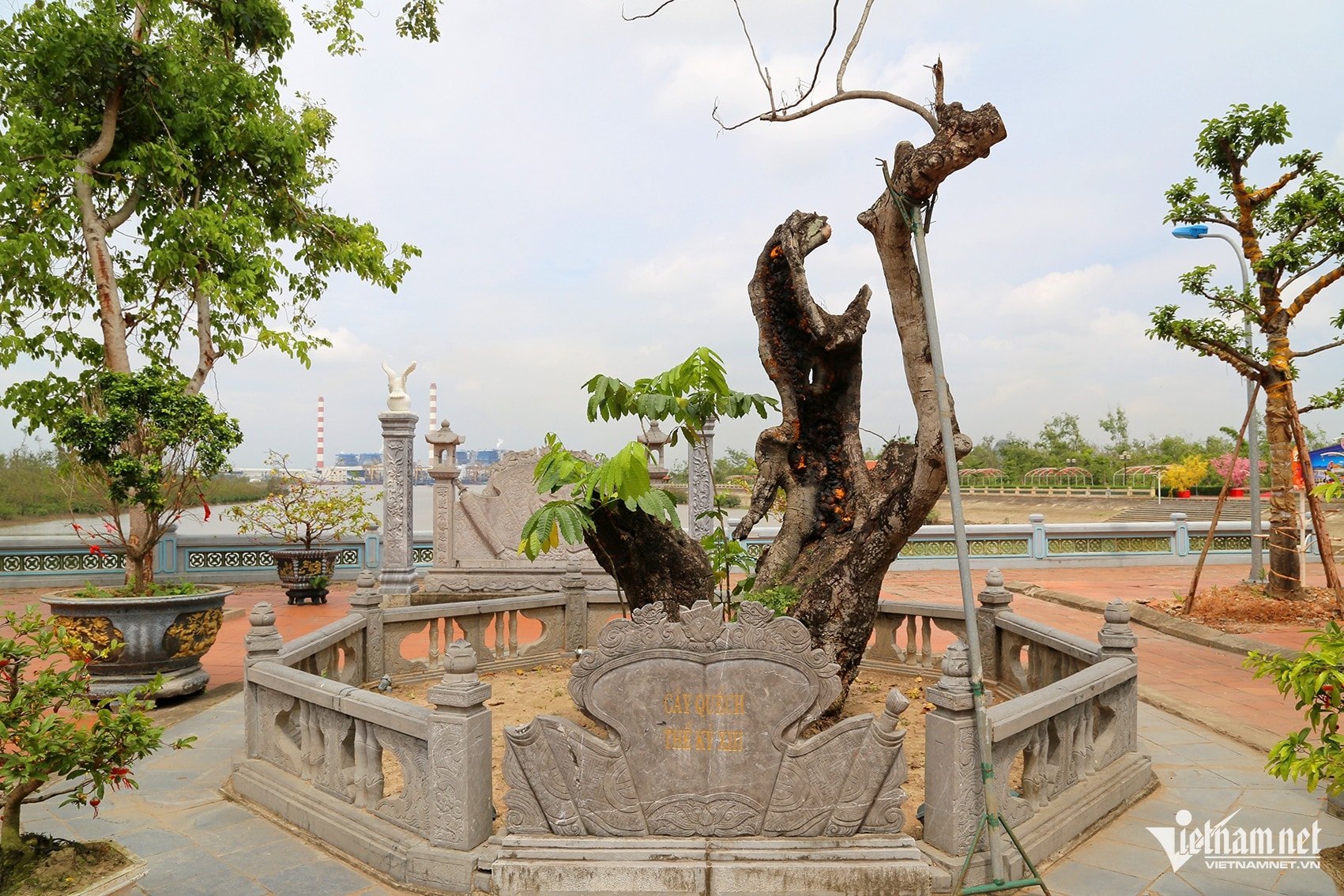 W-Ảnh 2.JPG.jpg