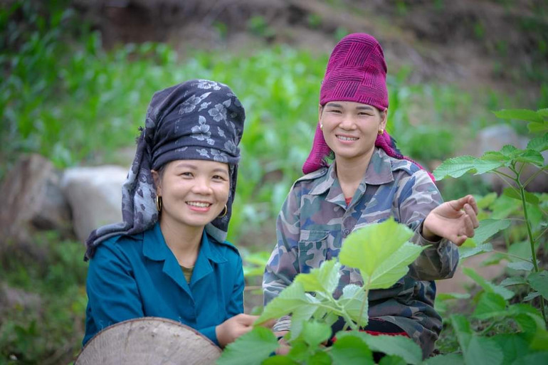 Vùng nguyên liệu trồng gai và nhà máy sợi gai của Công ty Thiên Phước ở huyện Cẩm Thủy (Thanh Hóa) tạo việc làm cho gần 1.000 lao động địa phương.