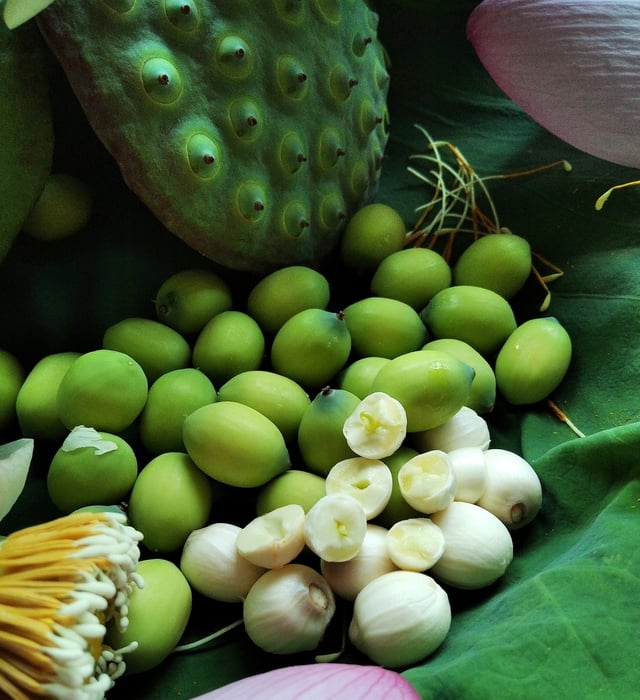 6 món ngon dễ làm từ hạt sen đang chính vụ giúp thanh nhiệt, mát gan, cải thiện mất ngủ ngày hè tốt cho cả nhà - Ảnh 3.