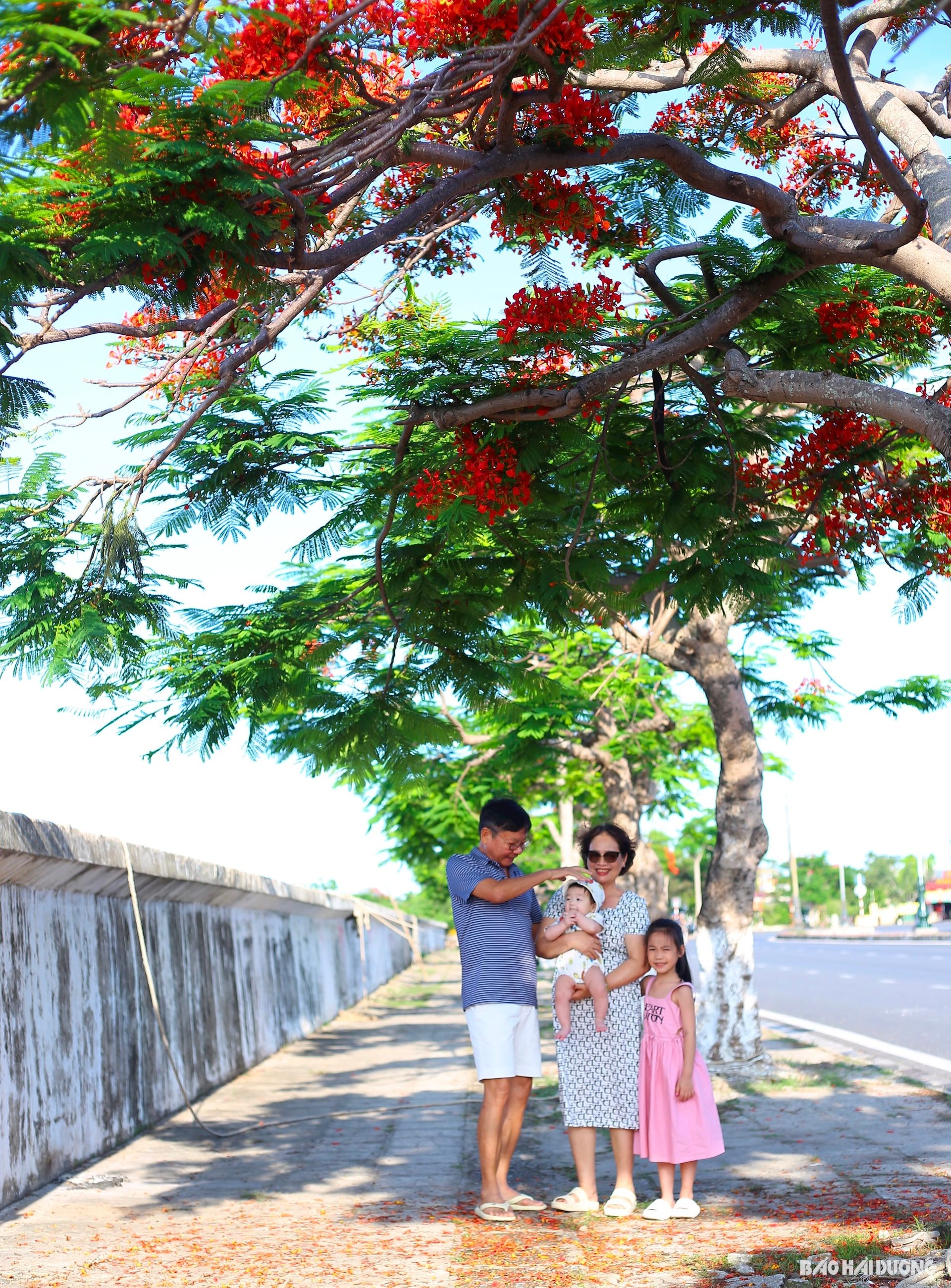 ดอกไม้-phuong3.jpg