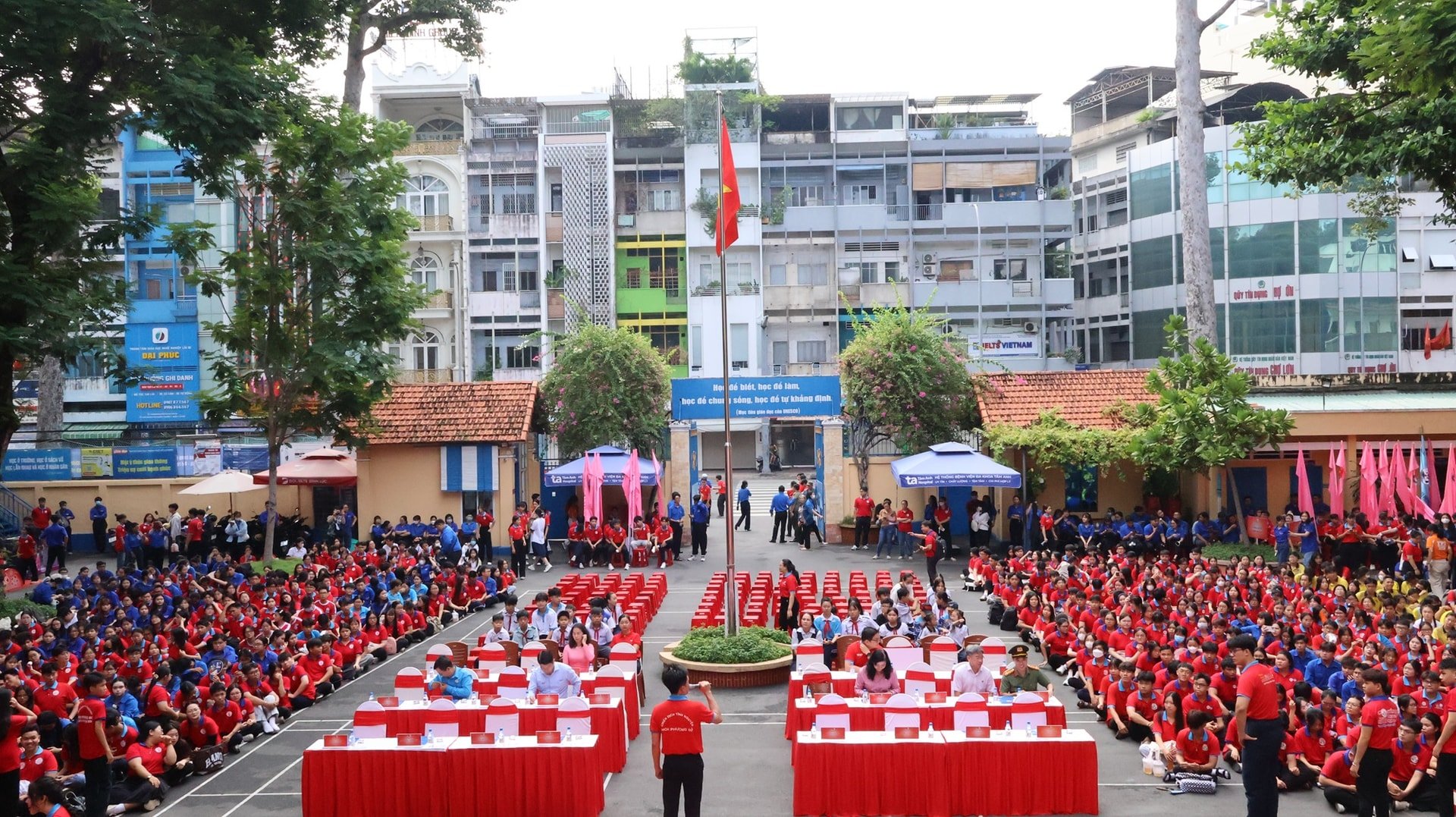 1.hoaphuongdo1-6.jpg