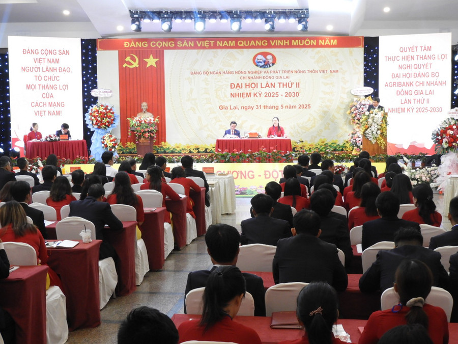 quang-canh-dai-hoi-dang-bo-agribank-chi-nhanh-dong-gia-lai-lan-thu-ii-nhiem-ky-2025-2030-anh-thanh-nhat-dscn4575.jpg