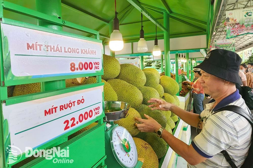 Du khách chọn mua các loại mít đến từ Long Khánh tại Lễ hội trái cây Nam Bộ năm 2025. Ảnh: Hải Hà