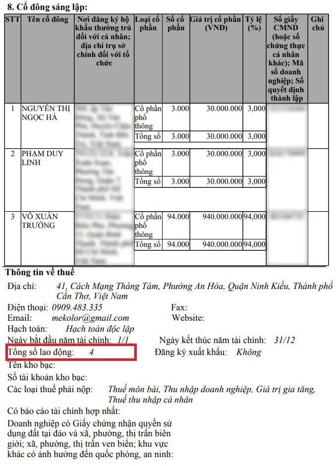 Mekolor Joint Stock Company operated in 2016, with a charter capital of 1 billion VND, Mr. Truong holds 94% of shares.