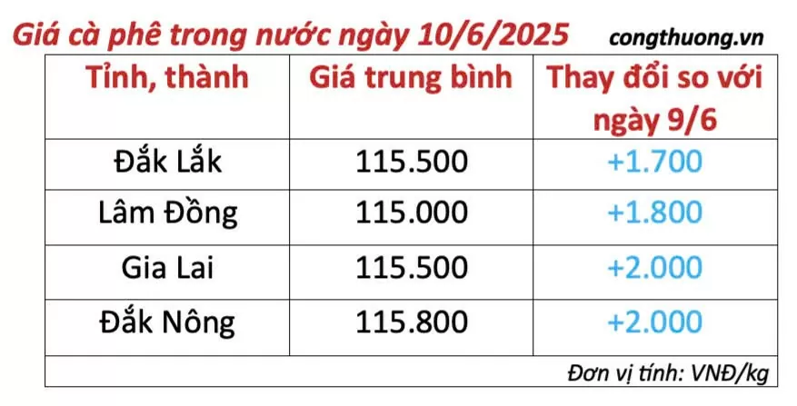 Dự báo giá cà phê ngày mai 11/6/2025, trong nước đà tăng