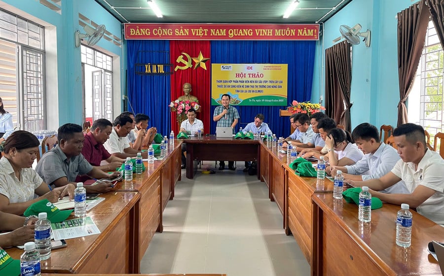 cac-dai-bieu-cung-trao-doi-ve-nhung-thuan-loi-kho-khan-trong-qua-trinh-trien-khai-ky-thuat-dui-phan-vien-nen-tren-cay-lua-tai-huyen-ia-pa-anh-vu-chi.jpg