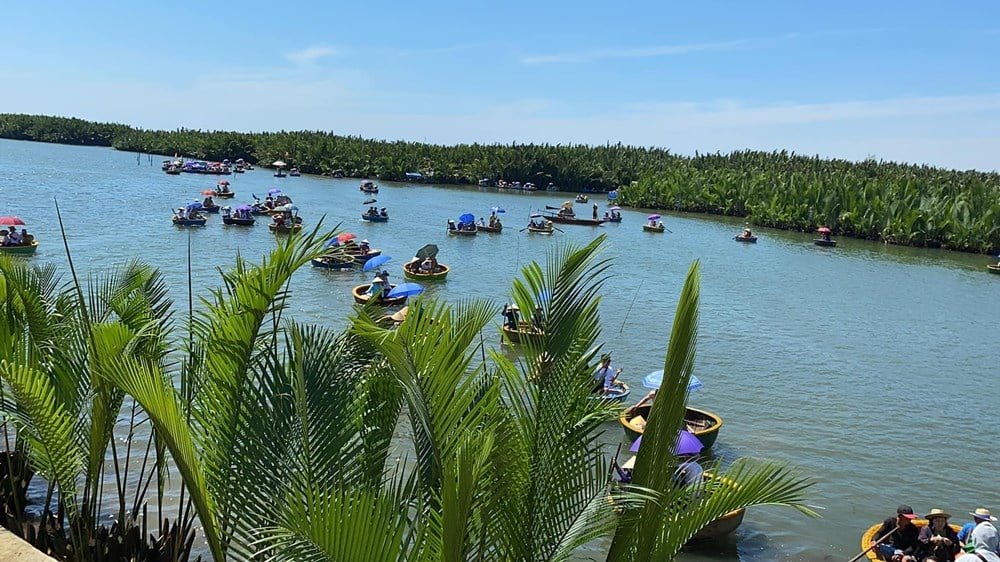 Phát triển du lịch xanh sau sáp nhập Quảng Nam và Đà Nẵng - Ảnh 3.