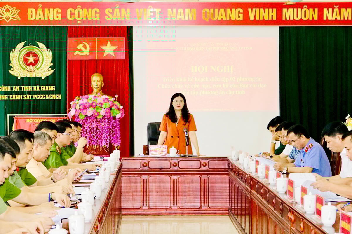 Phó Chủ tịch UBND tỉnh Vương Ngọc Hà phát biểu chỉ đạo tại hội nghị.