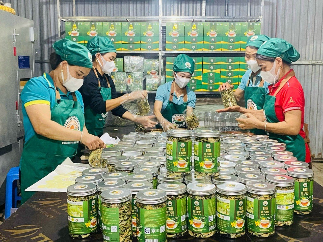 yen-duong.jpg