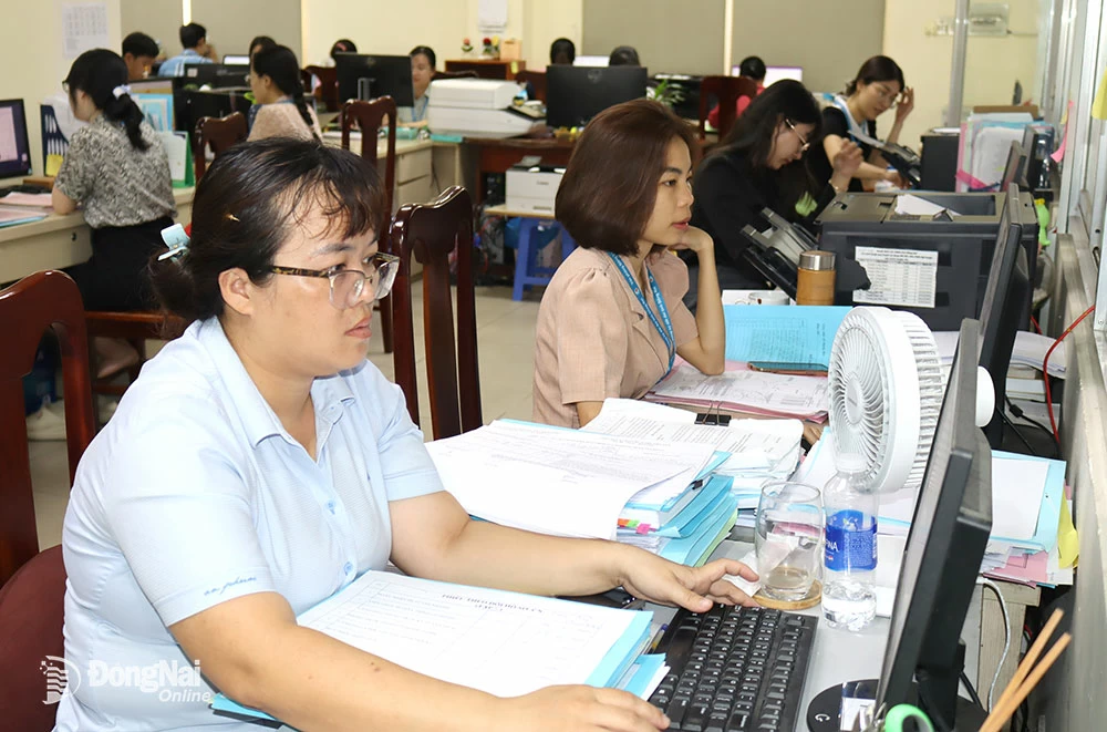 Nhân viên Văn phòng Đăng ký đất đai tỉnh đối chiếu thông tin để in giấy chứng nhận quyền sử dụng đất. 