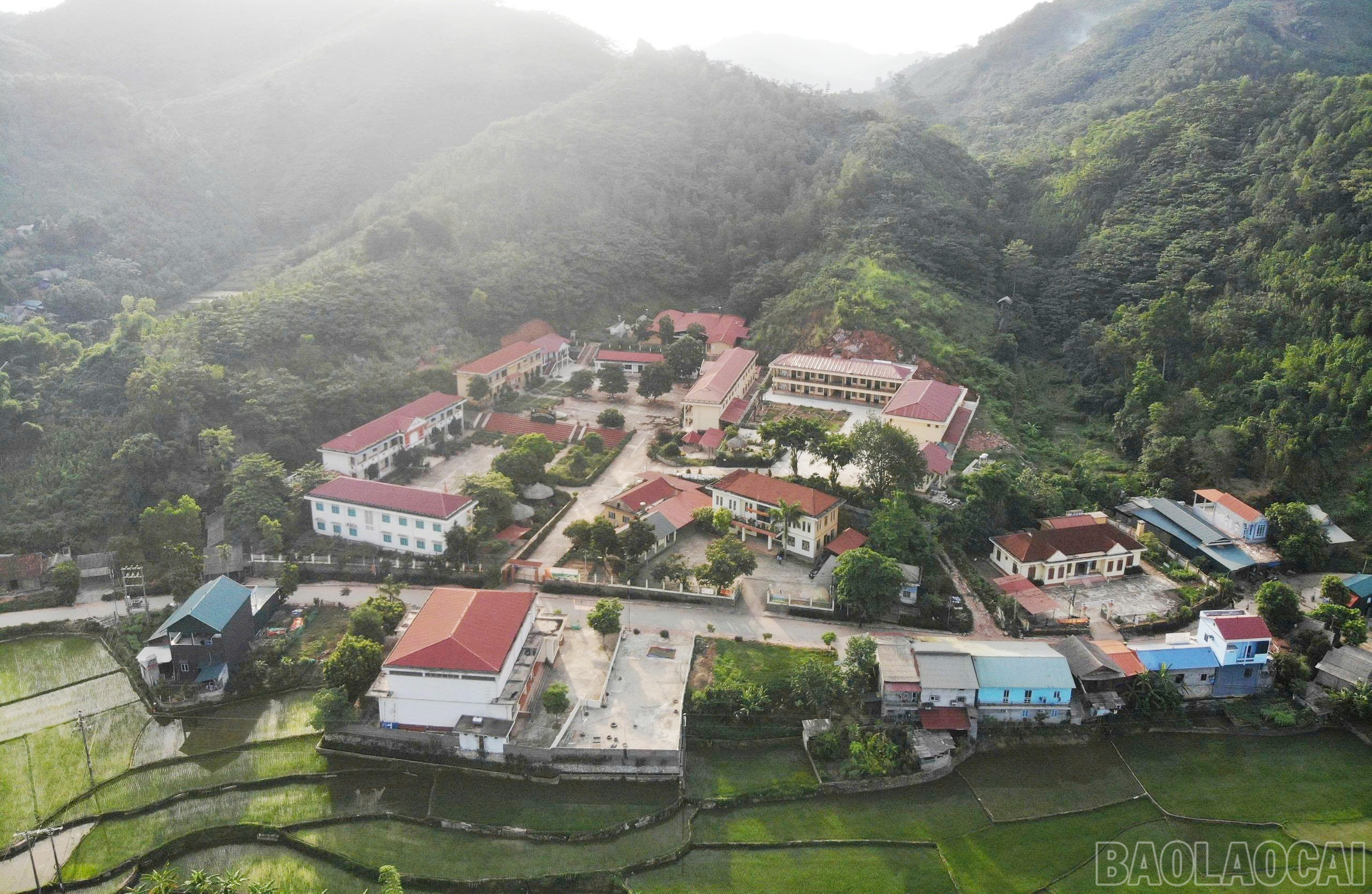baolaocai-br_1.jpg