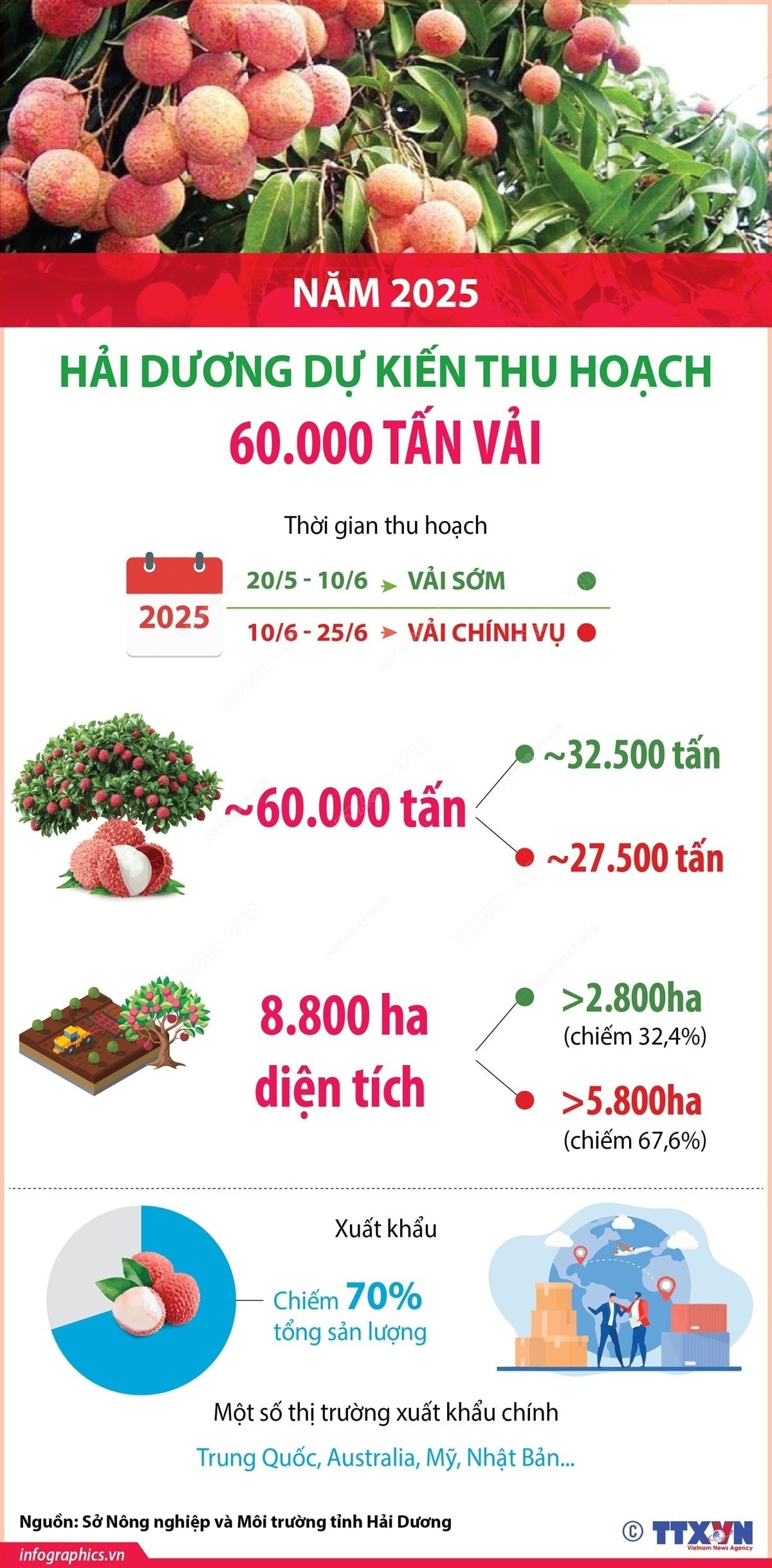 vai-hai-duong-1.jpg