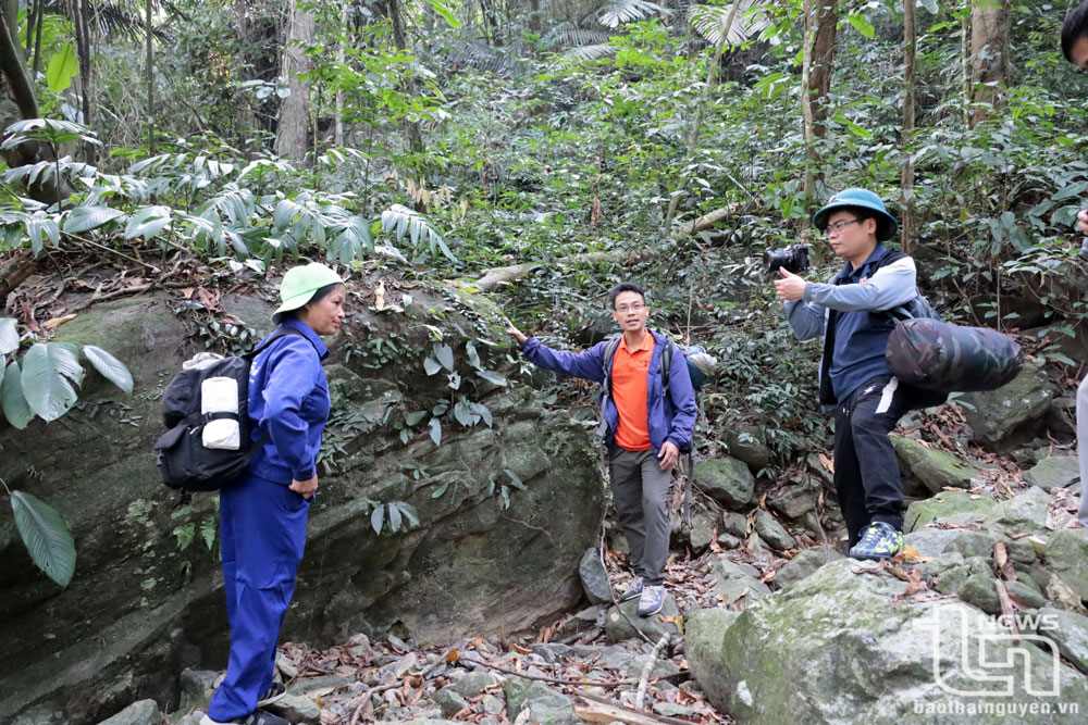 Trabajando en el bosque.