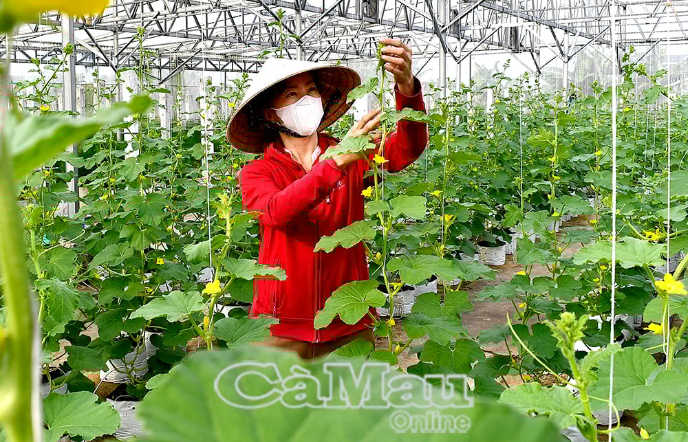 Đẩy mạnh nghiên cứu, ứng dụng, chuyển giao khoa học, công nghệ, chuyển đổi số vào hoạt động sản xuất nông nghiệp, nhằm nâng cao chất lượng giống cây trồng, vật nuôi.