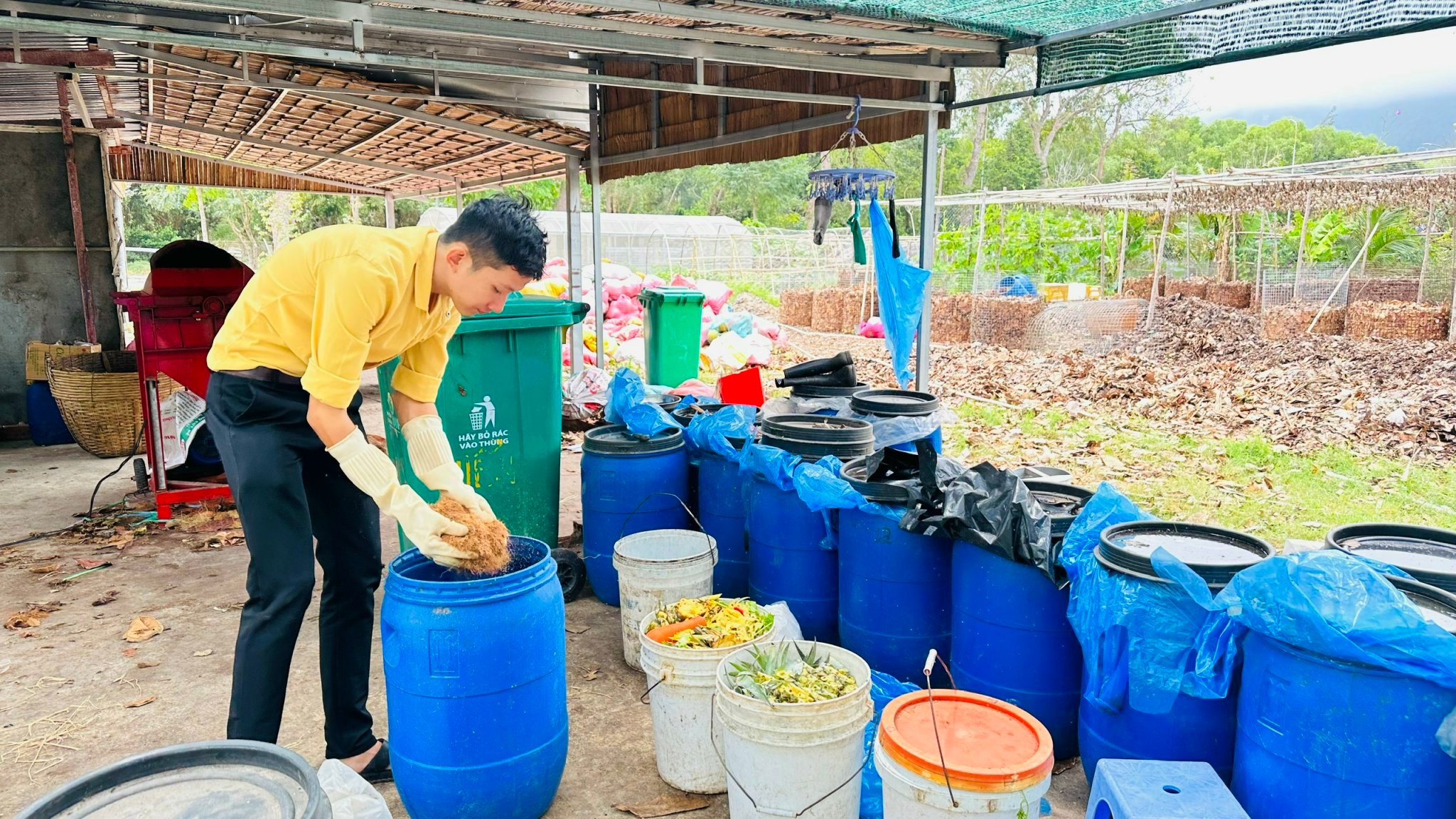 កាកសំណល់សរីរាង្គបន្ទាប់ពីការប្រមូលត្រូវបានជីកំប៉ុស។