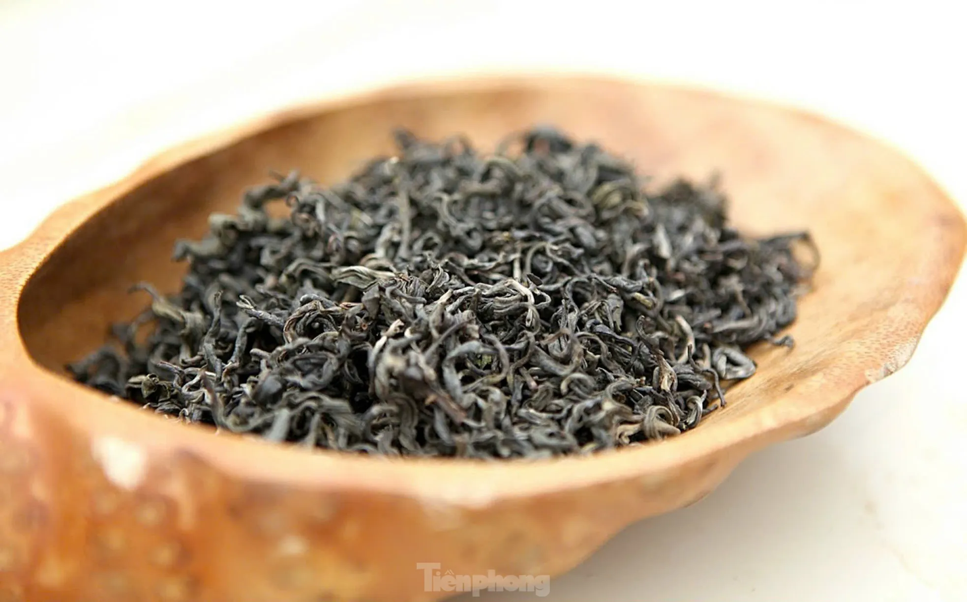 Đồng bào Dao cùng gìn giữ rừng chè cổ thụ nghìn năm để làm giàu ảnh 5