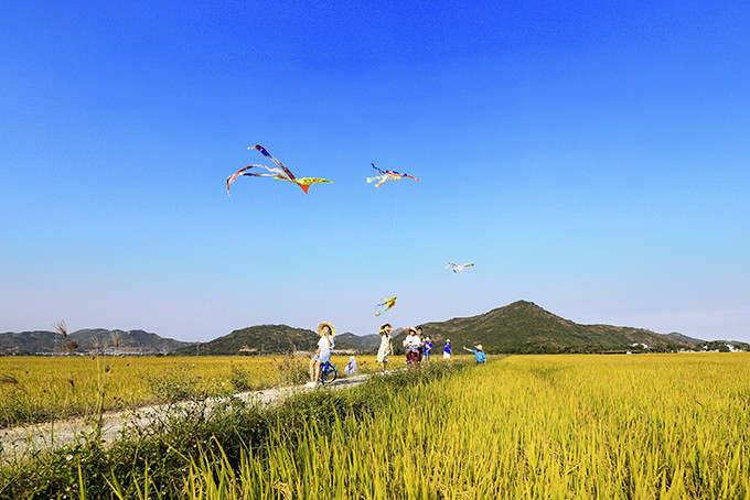 Các em nhỏ thả diều trên cánh đồng xã Vĩnh Phương, TP. Nha Trang. Ảnh: LÊ ĐỨC DƯƠNG