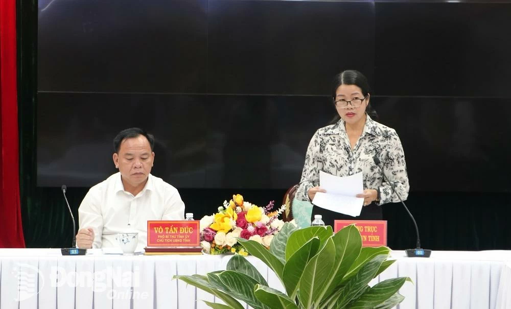 Vice Chairwoman of the Provincial Vietnam Fatherland Front Committee Luu Thi Ha spoke at the conference. Photo: Pham Tung
