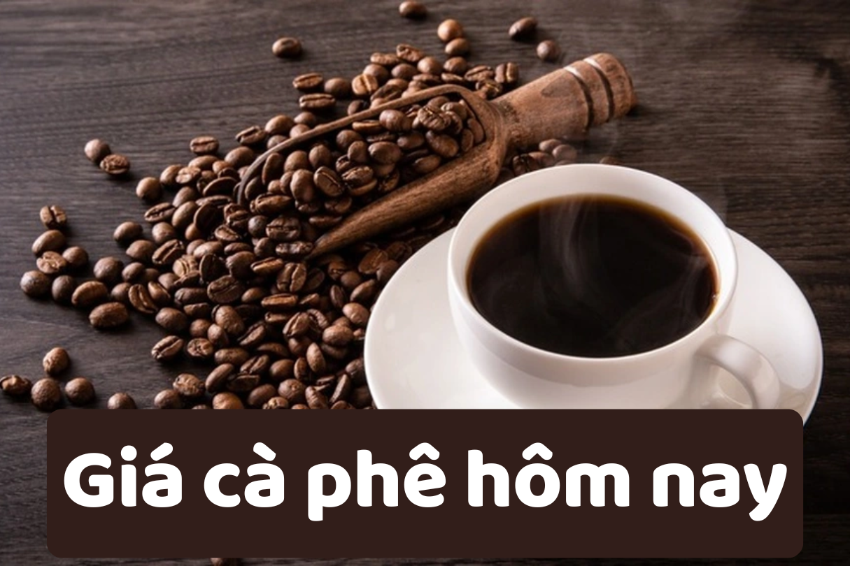 Цена на кофе сегодня 10 июня 2025 г.: Постоянное снижение цен