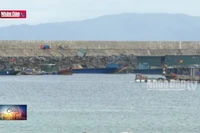 Sớm hoàn thiện khu neo đậu ở đảo Cô Tô