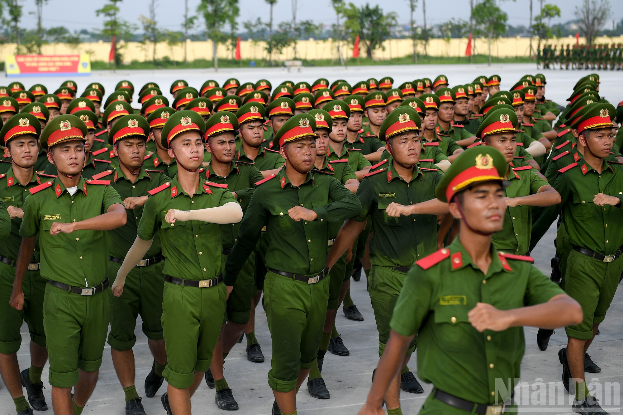 ndo_br_a80-chuong-my-0673.jpg