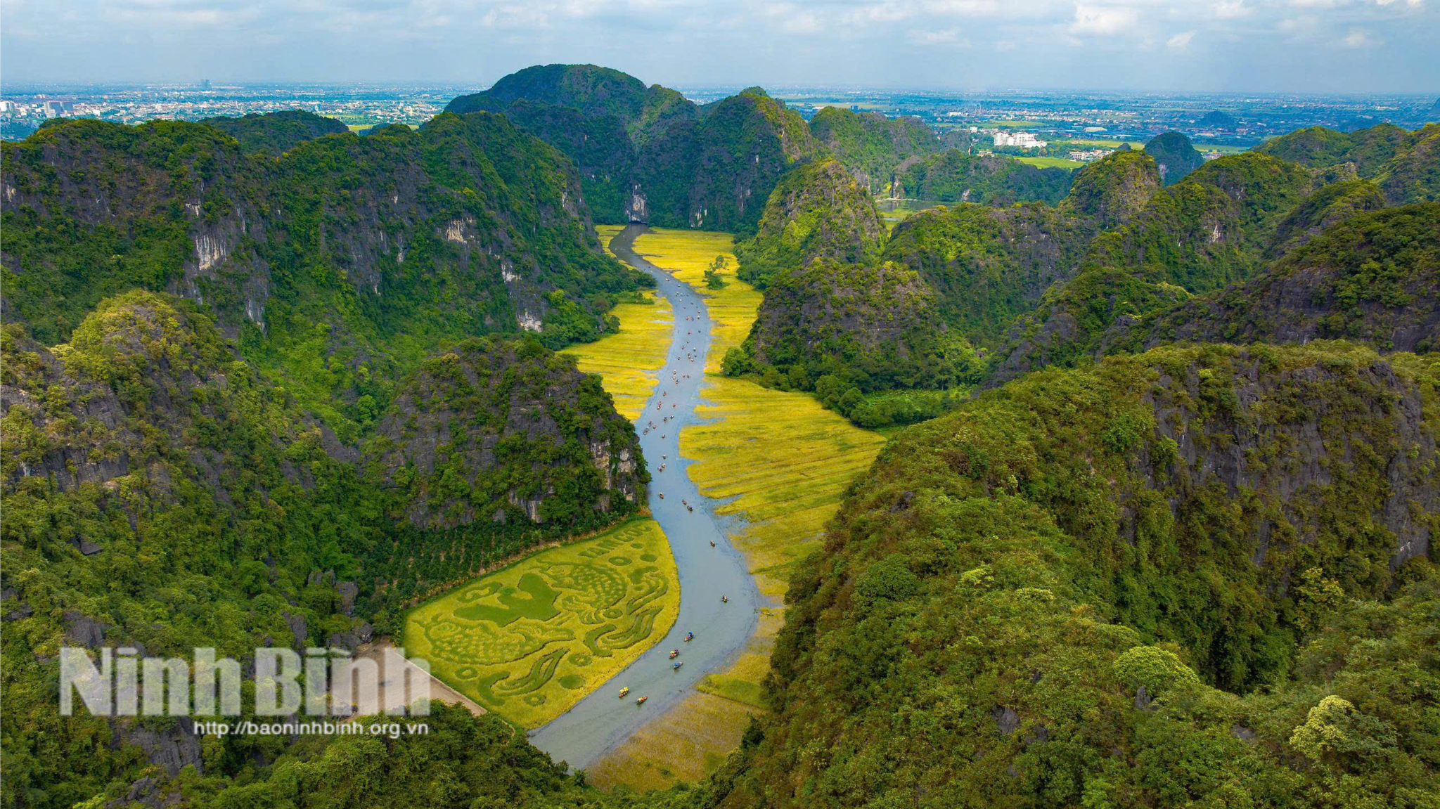 Vue panoramique de la zone touristique de Tam Coc-Bich Dong recouverte de la « couleur dorée » du riz mûr.