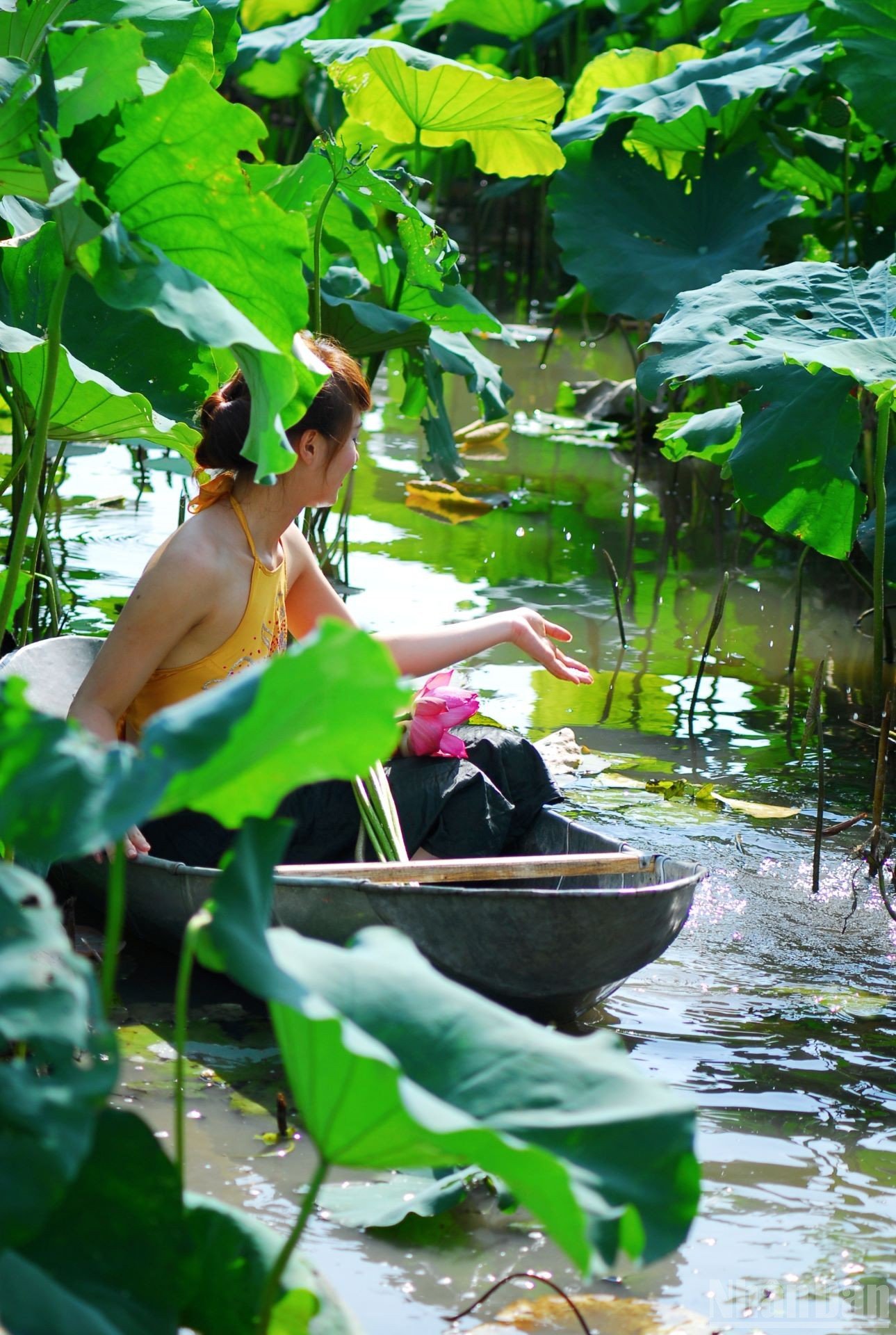 ndo_br_thieunu-viet.jpg
