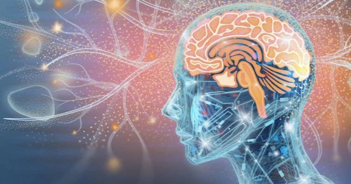 Bộ não của bạn đạt đỉnh cao ở độ tuổi nào?