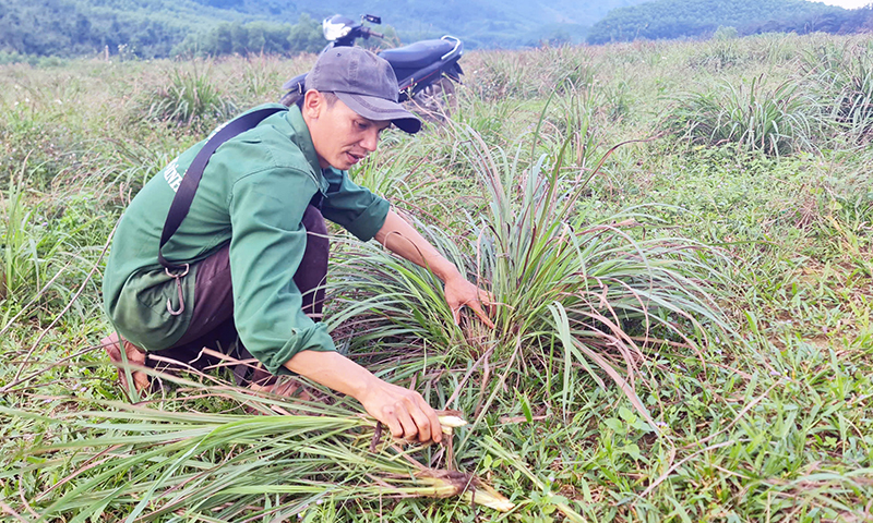 ขนาดของผลผลิตทางการเกษตรของประชากรในพื้นที่ขุดแร่ยังมีขนาดเล็กและไม่มั่นคง