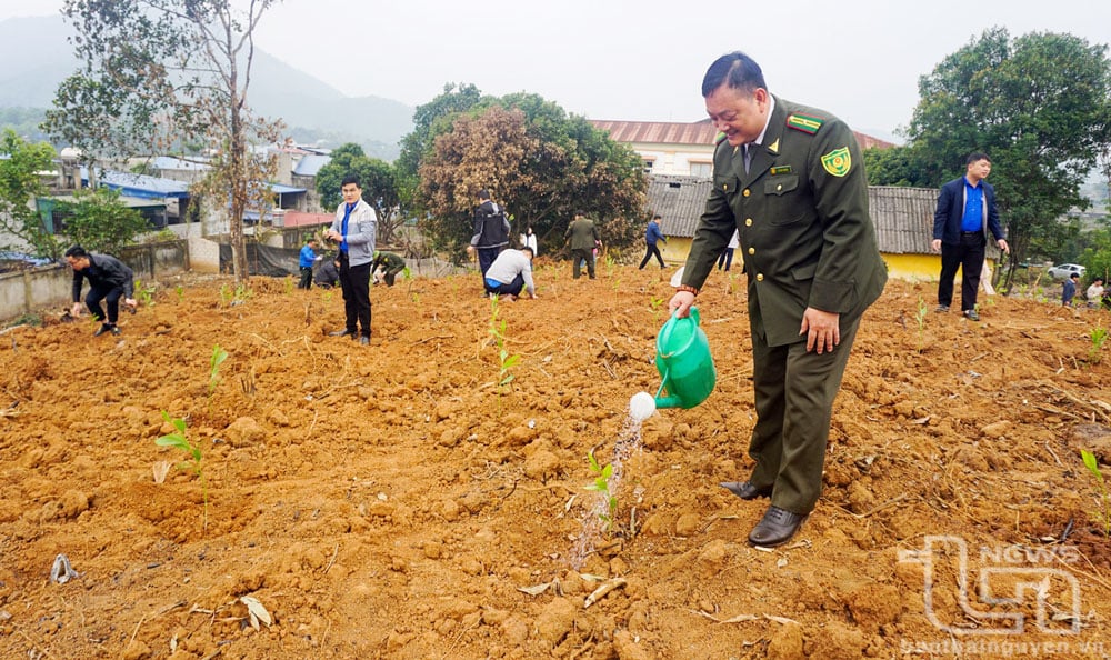 Quản lý tốt chất lượng giống cây lâm nghiệp góp phần đáp ứng nhu cầu trồng, phát triển kinh tế rừng của người dân Thái Nguyên.