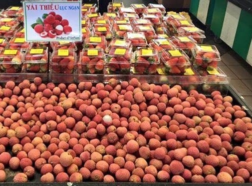 Bảo hộ nhãn hiệu ở nước ngoài - Cần khai thác hệ thống công cụ bảo hộ
