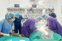 Doctors intervened with ECMO to save the patient's life.
