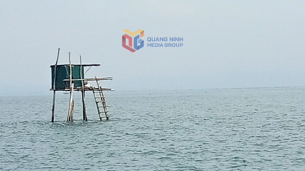 Torre de vigilancia de almejas y berberechos de la Cooperativa de Acuicultura Thanh Van.