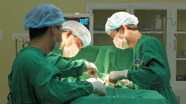 TP.HCM: Người phụ nữ bỏ tiền triệu mua ong về tự trị ung thư vú  - Ảnh 1.
