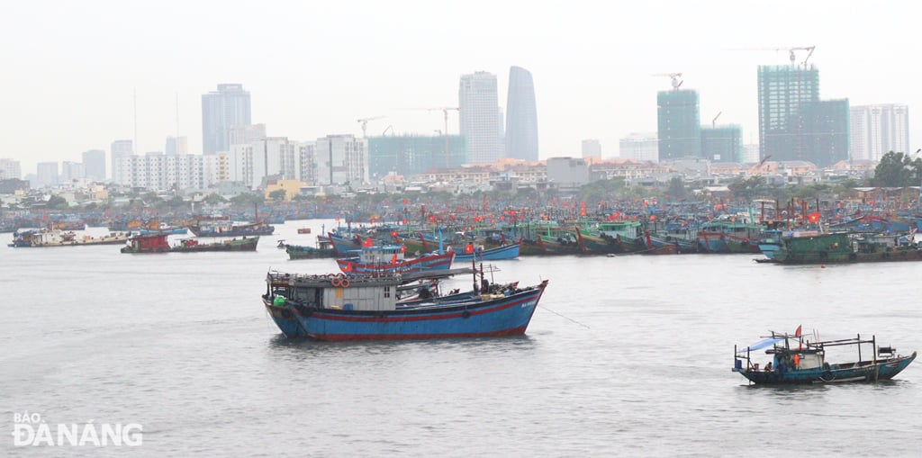 Nhiều tàu, thuyền vào neo đậu trú bão số 1 ở âu thuyền Thọ Quang trong chiều 11-6. Ảnh: HOÀNG HIỆP